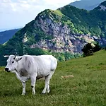 Della Rocca *