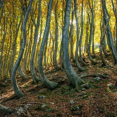 Alloggio per agriturismo Della Rocca *