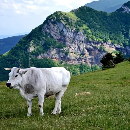 Della Rocca *