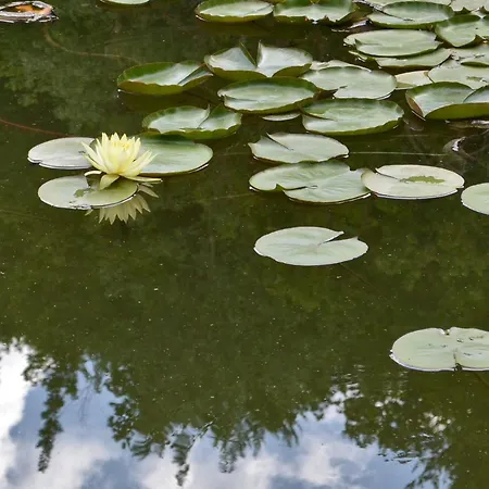 Della Rocca Alloggio per agriturismo *