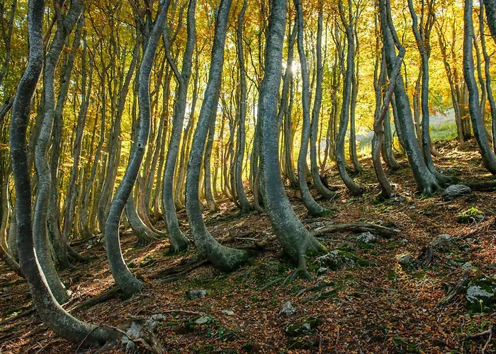 Lantgård Della Rocca *