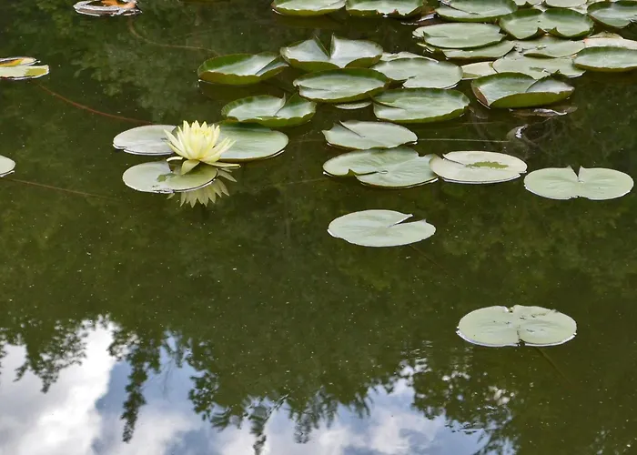 Della Rocca Lantgård *